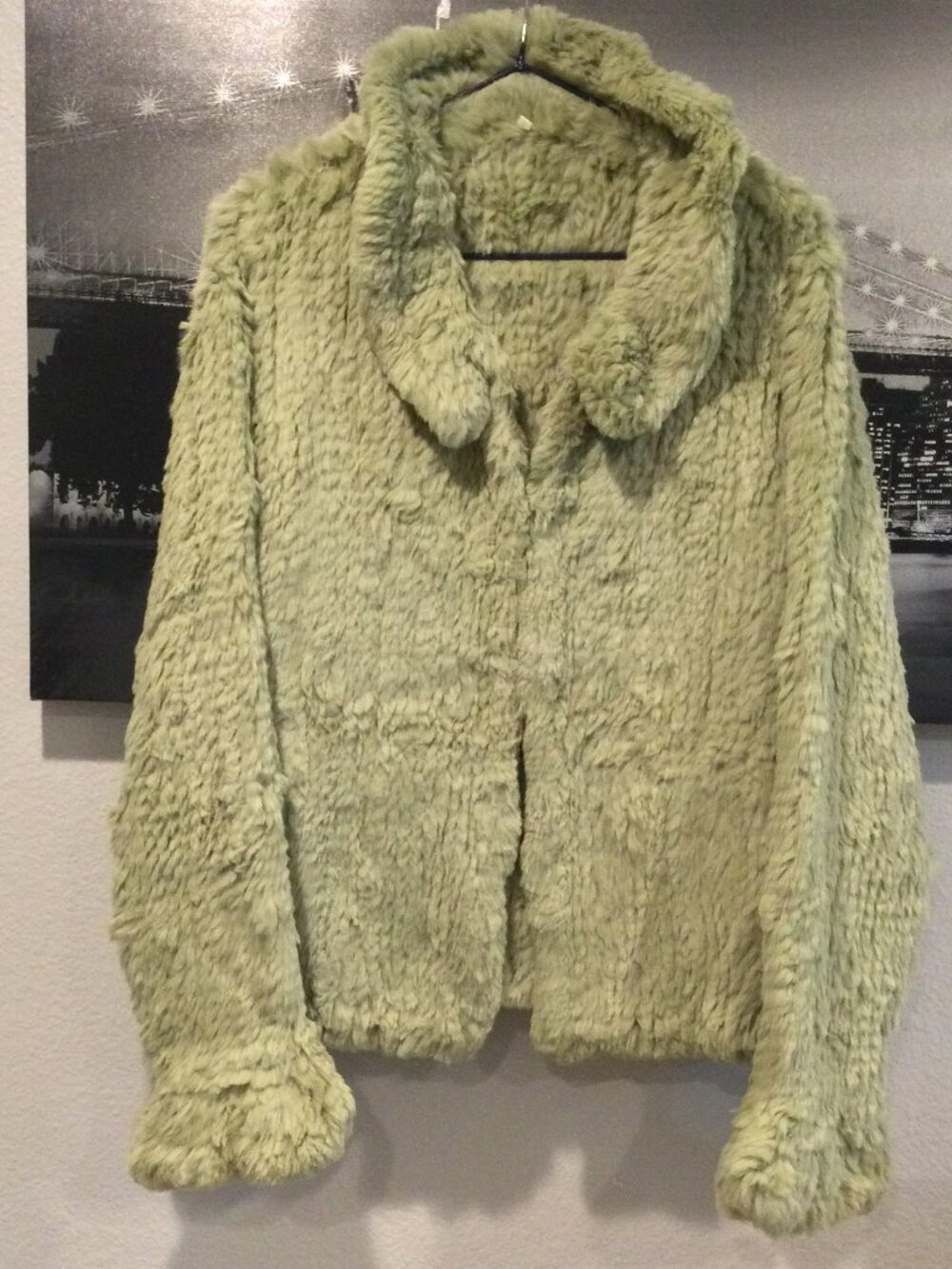 Soft pea green 100% Rabbit Fur Jacket – Like New